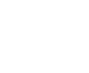 Evolution games at Bet Reels Casino